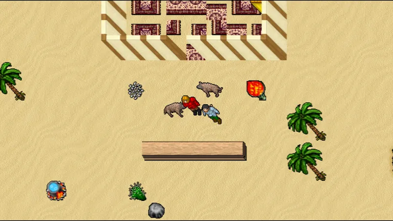 Kasim's Oasis